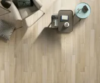 안데스