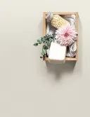 클락시셈 페일 아몬드