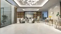 화려한
