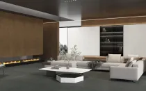 모피 화이트