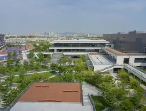 비보
