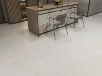 펠로이