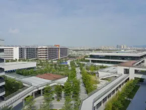 비보