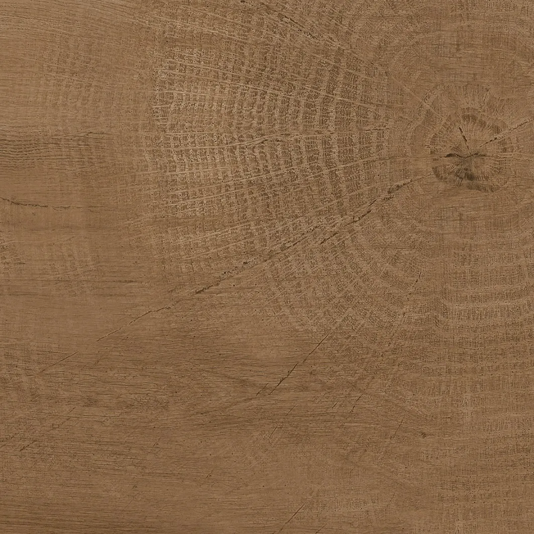 K00606979ZAO 브라운