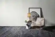 모피 화이트