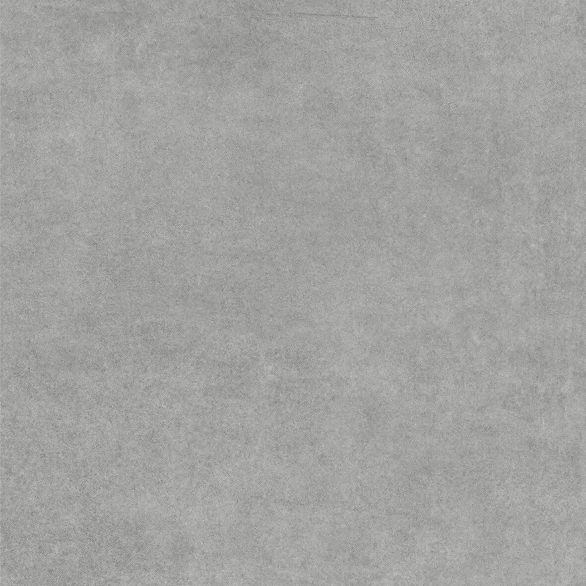 K00608244TAN 그레이