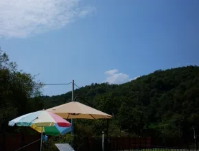 반려동물 동반 가능 풀 빌라