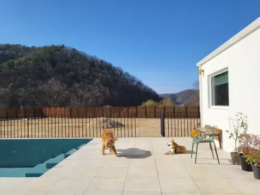 반려동물 동반 가능 풀 빌라
