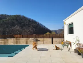 반려동물 동반 가능 풀 빌라