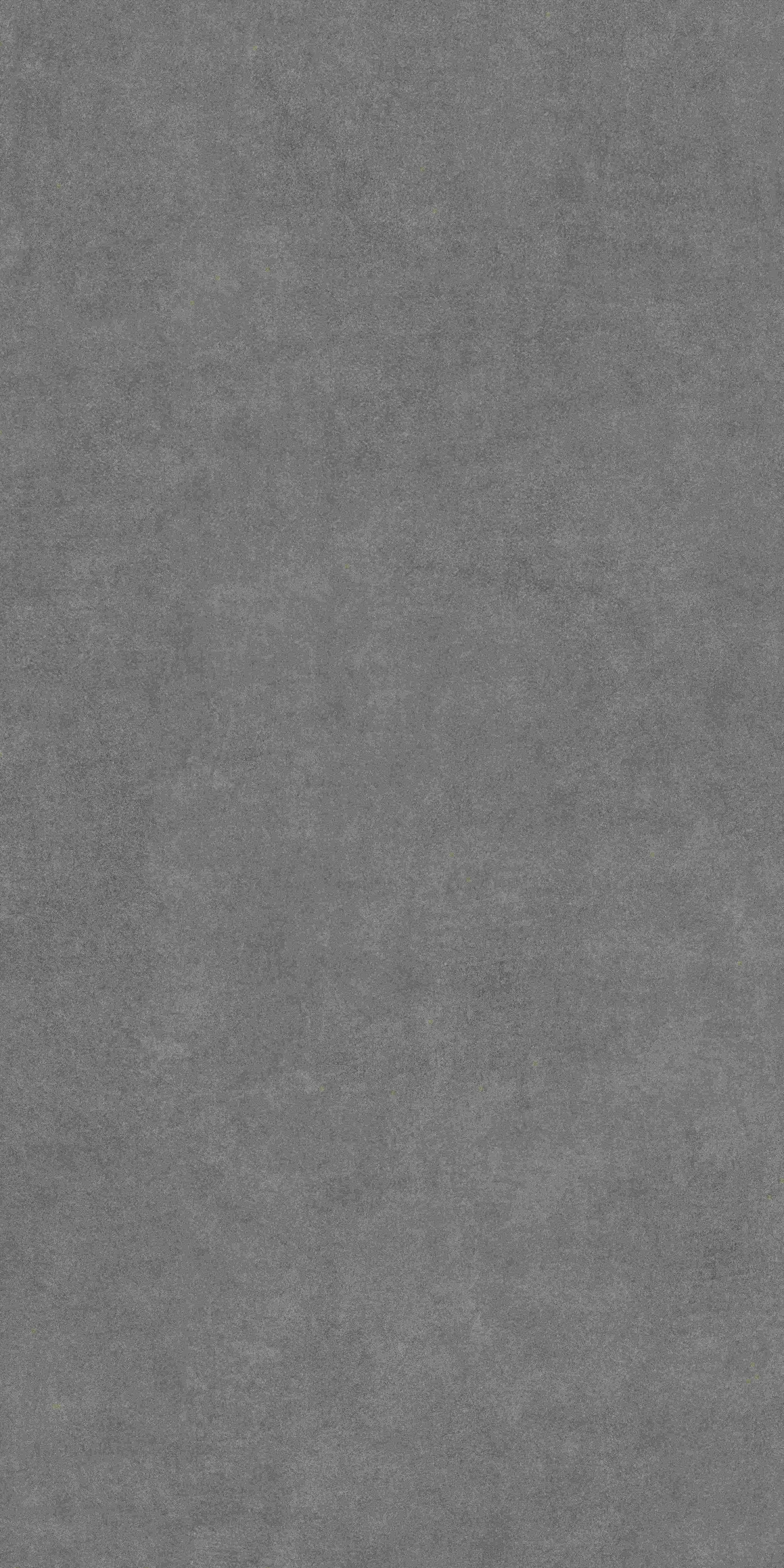 K01578702탄 브라운