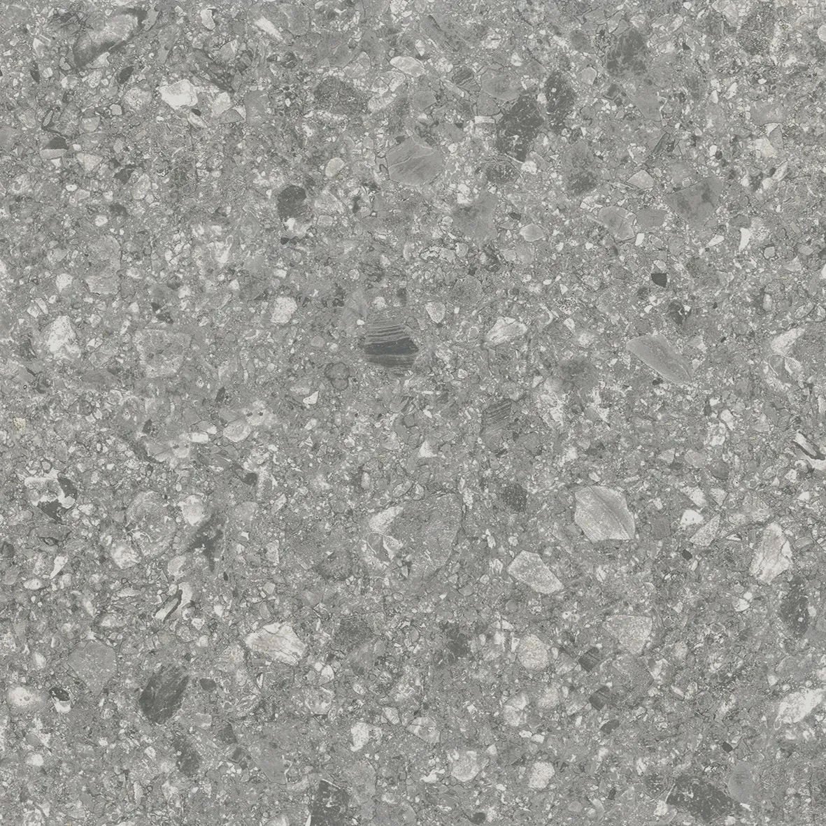 K00606978ZAO 다크 그레이