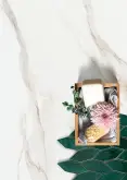 칼라카타 골드