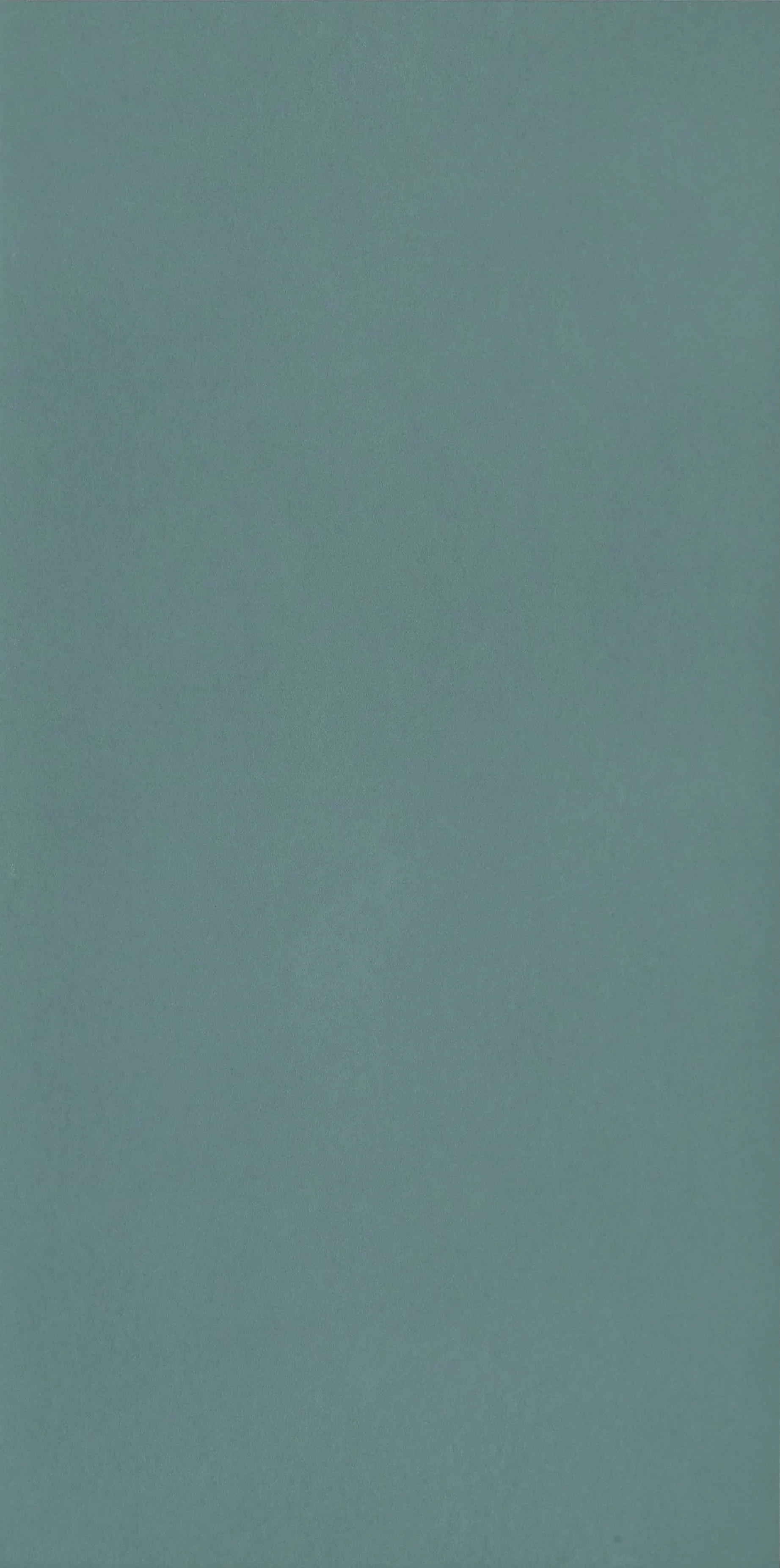 K01268717탄