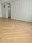 안데스