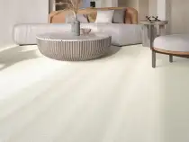 스타더스트