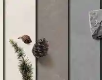발레스