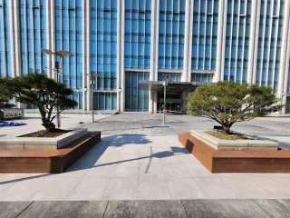 대학 학술 광장